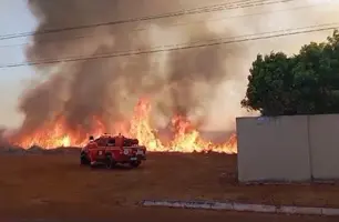 Forte incêndio atinge terreno baldio próximo a residências e ao IFPI de Picos (Foto: Reprodução)