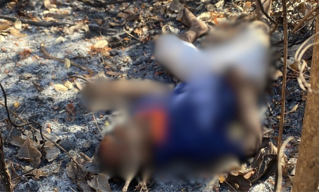 Homem é encontrado morto com marcas de violência na zona Sul de Teresina