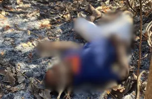 Homem é encontrado morto com marcas de violência na zona Sul de Teresina (Foto: Reprodução)