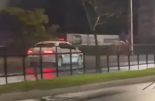 Homem é preso após fugir em um cavalo e colidir com um carro (Foto: Reprodução)