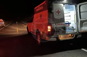 Homem morre e tem perna decepada após ser atropelado na PI-216 em Milton Brandão (Foto: Reprodução)