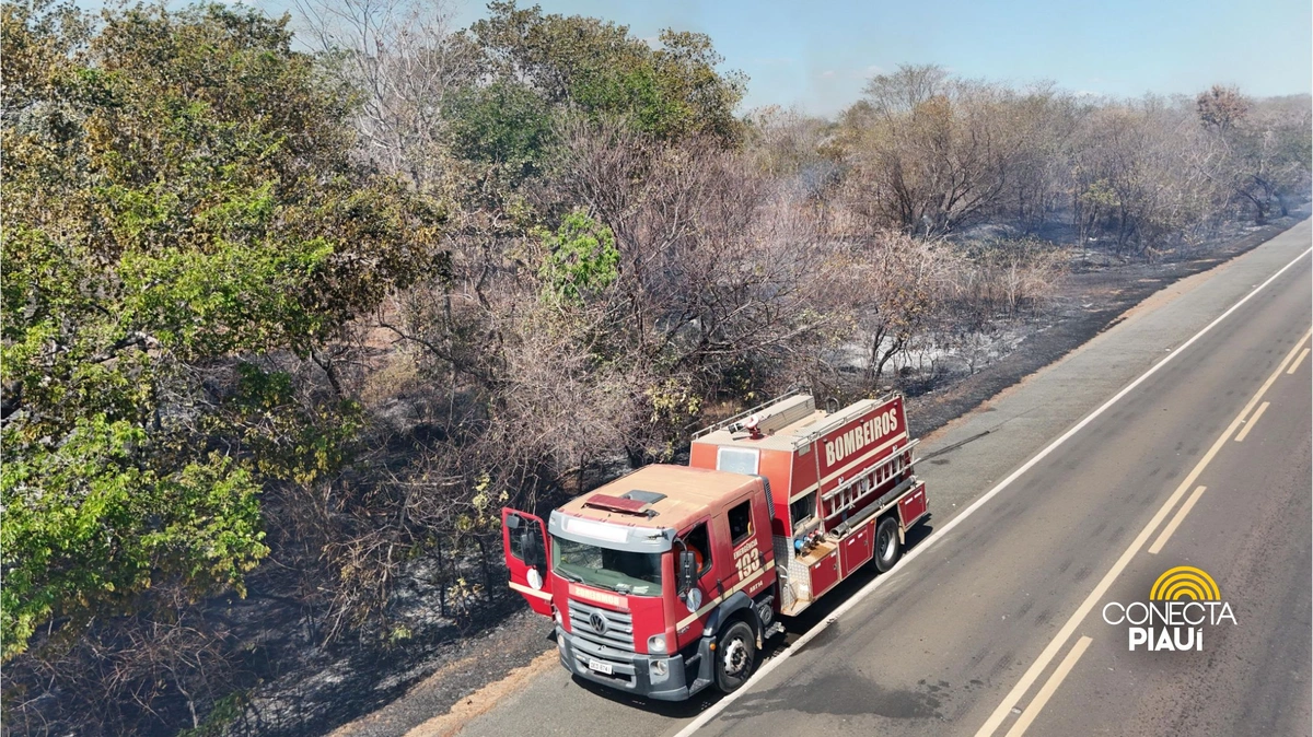 Incêndio na BR-230 entre Floriano e Oeiras