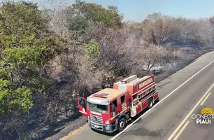 Incêndio na BR-230 entre Floriano e Oeiras (Foto: Conecta Piauí)