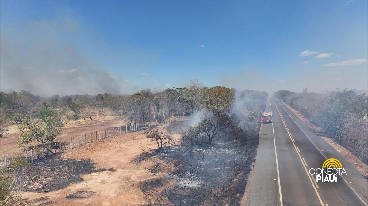 Incêndio na BR-230 entre Floriano e Oeiras