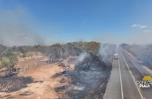 Incêndio na BR-230 entre Floriano e Oeiras (Foto: Conecta Piauí)