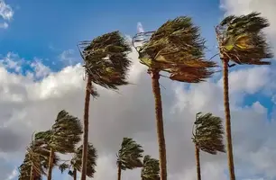 Inmet emite alerta de vendaval para mais de 150 municípios no Piauí (Foto: pixabay)