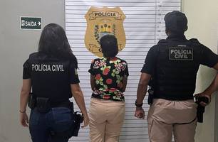 Mulher suspeita de envenenar crianças em Parnaíba tem prisão preventiva decretada (Foto: Divulgação/Polícia Civil)