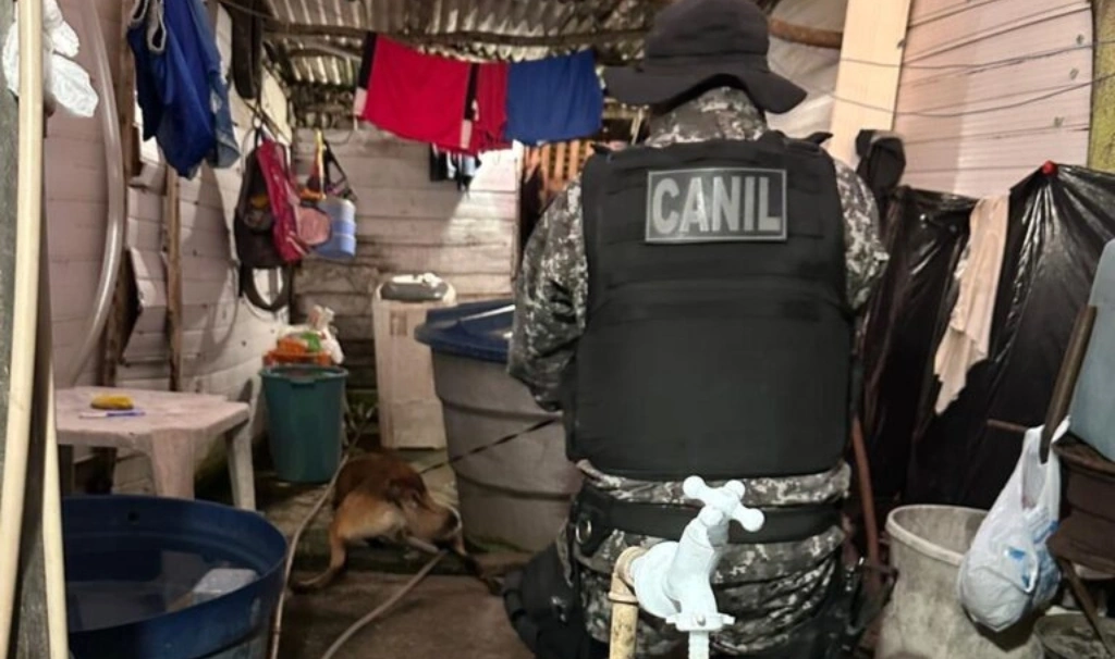 'Operação Cela 03' operada no Maranhão, Piauí e Mato Grosso