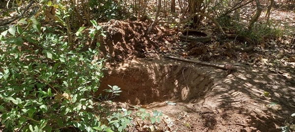 Polícia investiga ossada humana encontrada na zona rural de Timon