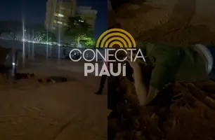 Polícia prende homem que liderava esquema de estelionato em Teresina (Foto: Reprodução)