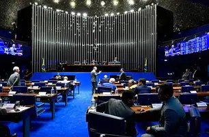 Senado Federal (Foto: Waldemir Barreto/Agência Senado)