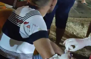 Tiroteio em residencial deixa cinco pessoas feridas na zona Leste de Teresina (Foto: Reprodução)