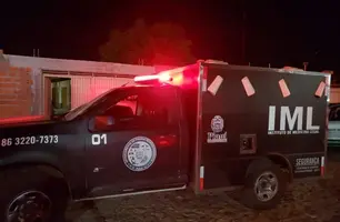 Viatura do IML (Foto: Reprodução)