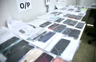 204 serão devolvidos nesta segunda-feira (30) (Foto: Reprodução)