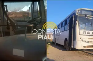 Aluno menor de idade é agredido por motorista da escola, em São Francisco do Piauí (Foto: Reprodução)