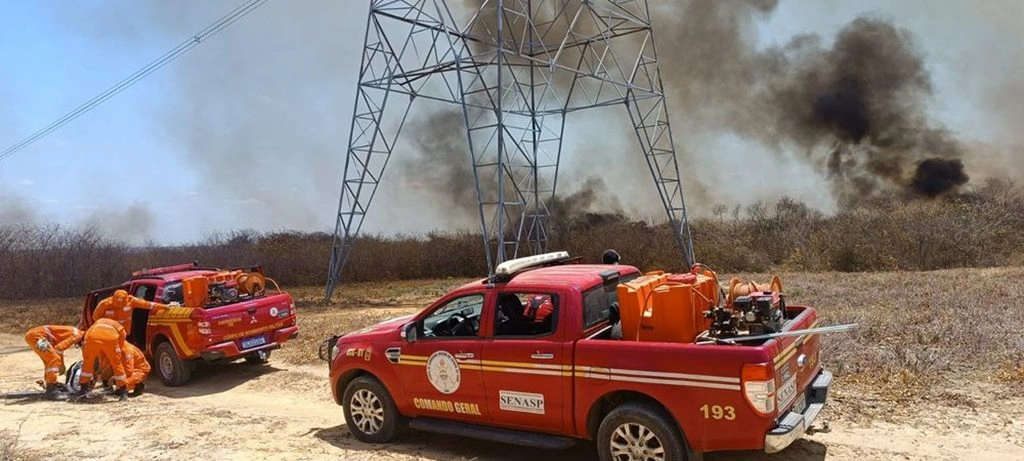 Bombeiros Militar e mais 15 brigadistas combatem incêndio em  Pedro Laurentino