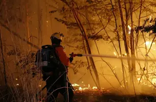 Corpo de Bombeiros (Foto: Reprodução)