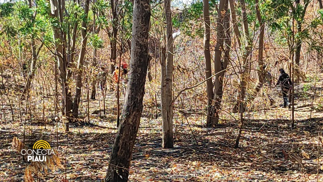 Corpo é encontrado boiando no Rio Poty na zona Sudeste de Teresina