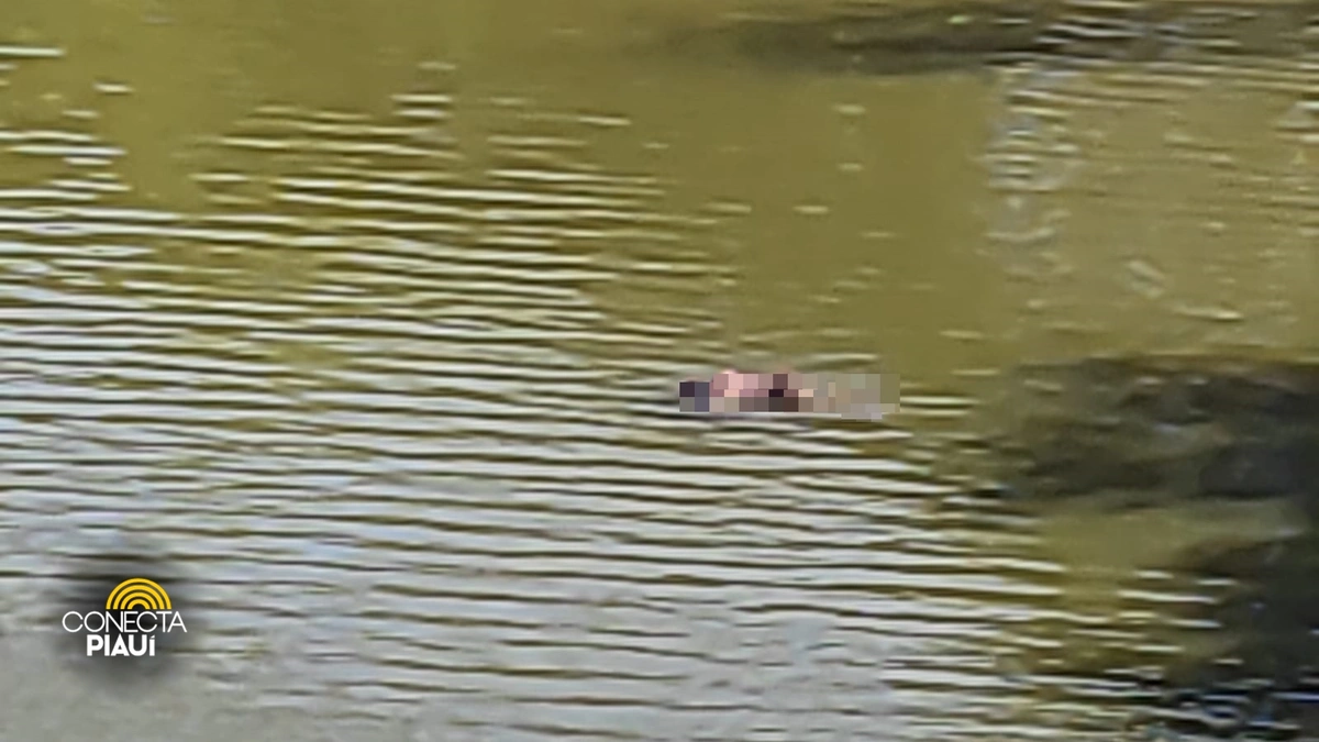 Corpo é encontrado boiando no Rio Poty na zona Sudeste de Teresina