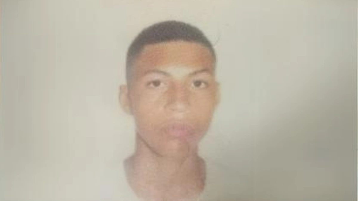 Francisco Wallison Firmino de Sousa