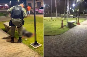 Homem é encontrado morto em Campo Maior (Foto: Reprodução)