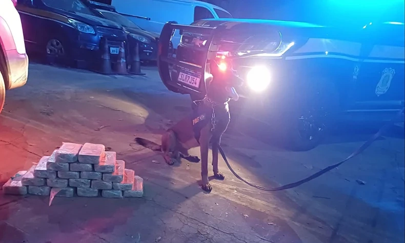 Homem é preso com 20 kg de cocaína escondida em fundos falsos de veículo na BR-343 em Altos