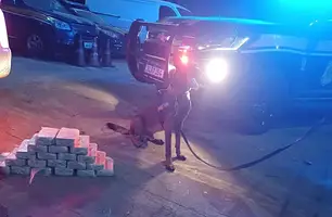 Homem é preso com 20 kg de cocaína escondida em fundos falsos de veículo na BR-343 em Altos (Foto: Reprodução)
