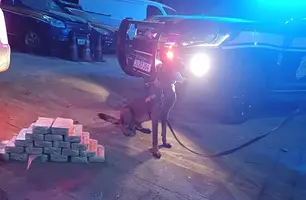 Homem é preso com 20 kg de cocaína escondida em fundos falsos de veículo na BR-343 em Altos (Foto: Reprodução)