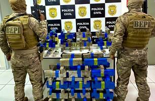 Homem é preso com cerca de 100 kg de drogas em depósito na zona Sul de Teresina (Foto: Divulgação/BEPI)