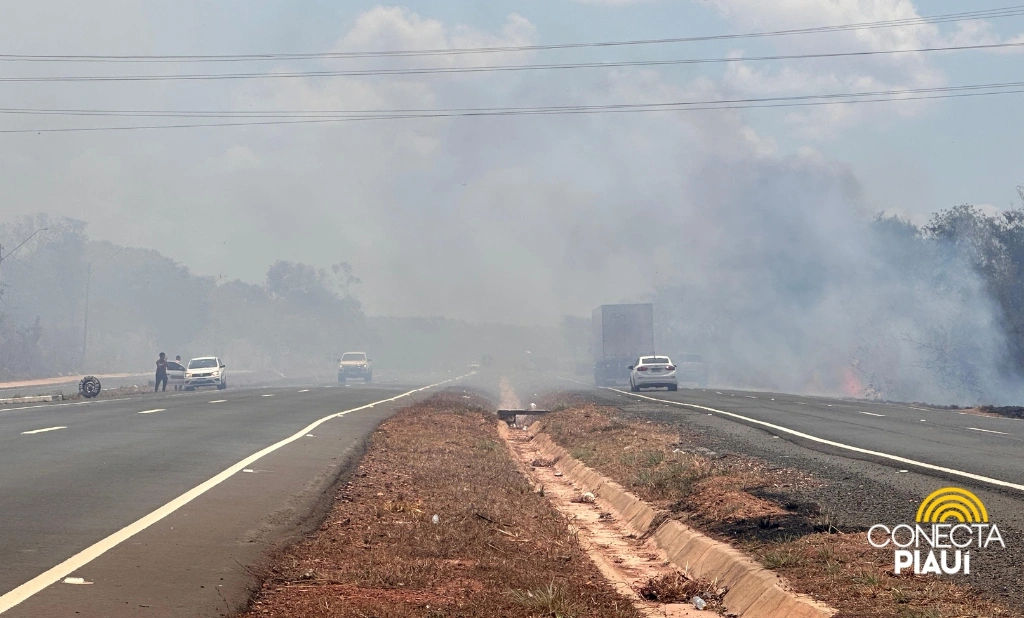 Incêndio de grande proporção atinge Povoado Chapadinha l, próximo a Demerval Lobão