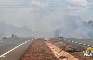Incêndio de grande proporção atinge Povoado Chapadinha l, próximo a Demerval Lobão (Foto: Conecta Piauí)