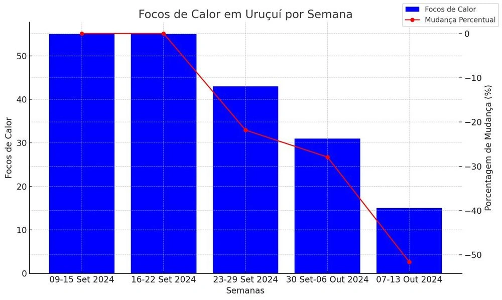 Inteligência Artificial faz previsão de onde ocorrerá incêndios no Piauí