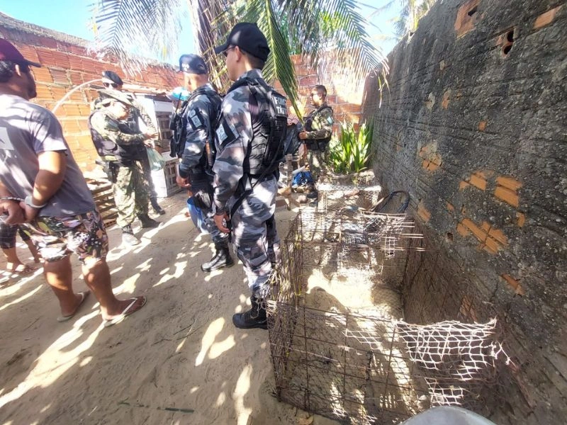 Jovem é recebido a tiros ao ser convidado para rinha de galo em Luís Correia