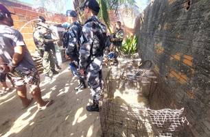 Jovem é recebido a tiros ao ser convidado para rinha de galo em Luís Correia (Foto: Divulgação/PMPI)