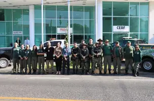 Operação “Mata Atlântica em Pé”, de combate ao desmatamento, é deflagrada no Piauí e em mais 16 estados (Foto: Reprodução)