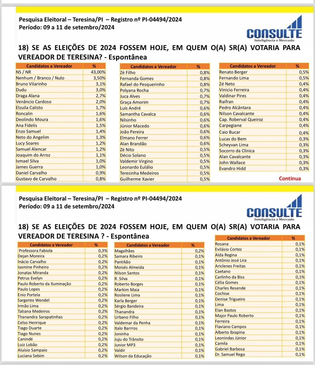 Pesquisa do Instituto Consulte para a Câmara de Teresina