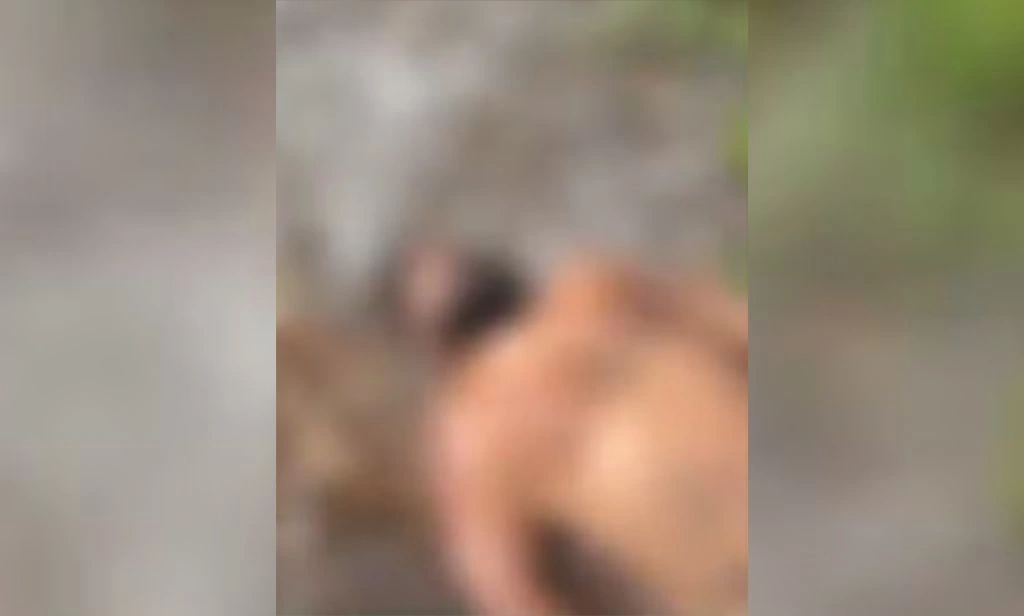 Argentino é torturado e morto na Bahia logo após fazer pix de R$ 100 mil a criminosos