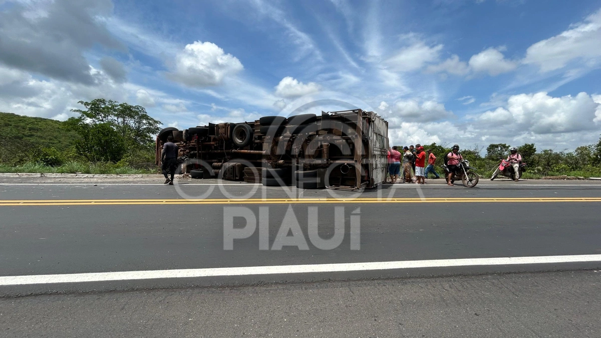 Caminhão carregado de pescados tomba na BR-343 entre Campo Maior e Altos