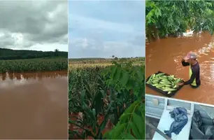 Chuvas intensas alagam plantações e causam prejuízos em Uruçuí (Foto: Reprodução)