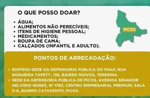 Defensoria Pública arrecada doações para vítimas das enchentes em Picos (Foto: Reprodução)