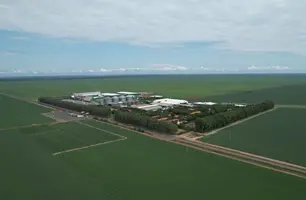 Fazenda Progresso consolida sucesso durante Dia de Campo Progresso Sementes 2025 (Foto: Conecta Piauí)