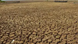 Governo decreta situação de emergência devido seca em 82 municípios no Piauí (Foto: Reprodução)