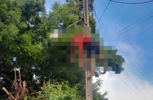 Homem morre eletrocutado enquanto podava árvore em Picos (Foto: Conecta Piauí)