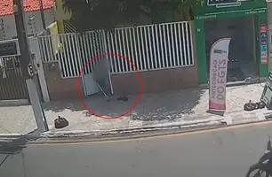 Idosa é indiciada por matar gato a pauladas em Aracaju (Foto: Reprodução)