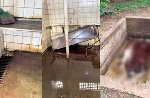 Matadouro de Oeiras apresenta condições insalubres e infraestrutura danificada (Foto: Reprodução/Portal Integração)