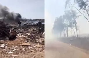 Moradores de Parnaíba denunciam lixão a céu aberto no meio da cidade (Foto: Reprodução)