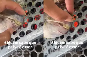 Mulher encontra peixe com dentes parecidos com dentadura humana no Espirito Santo (Foto: Reprodução)