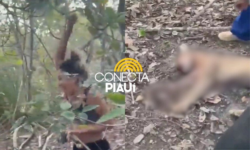 Mulher que viralizou após matar onça-parda no Piauí recebe multa de R$ 20 mil