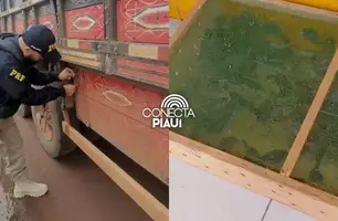 PRF aprende mais de 300 pássaros sendo transportados ilegalmente em Picos (Foto: Reprodução/PRF)