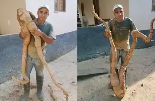 Produtor colhe mandioca de quase 20 kg com formato ‘humano’ no ES (Foto: Reprodução)